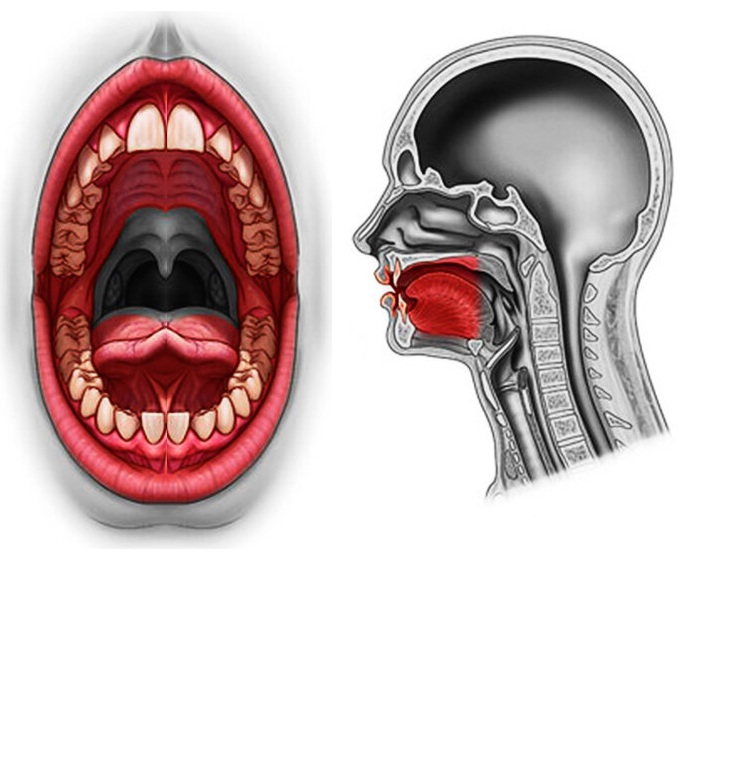Oral cancer surgeon in Ahmedabad